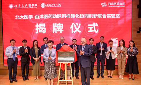 秋霞鲁丝片Av无码少妇