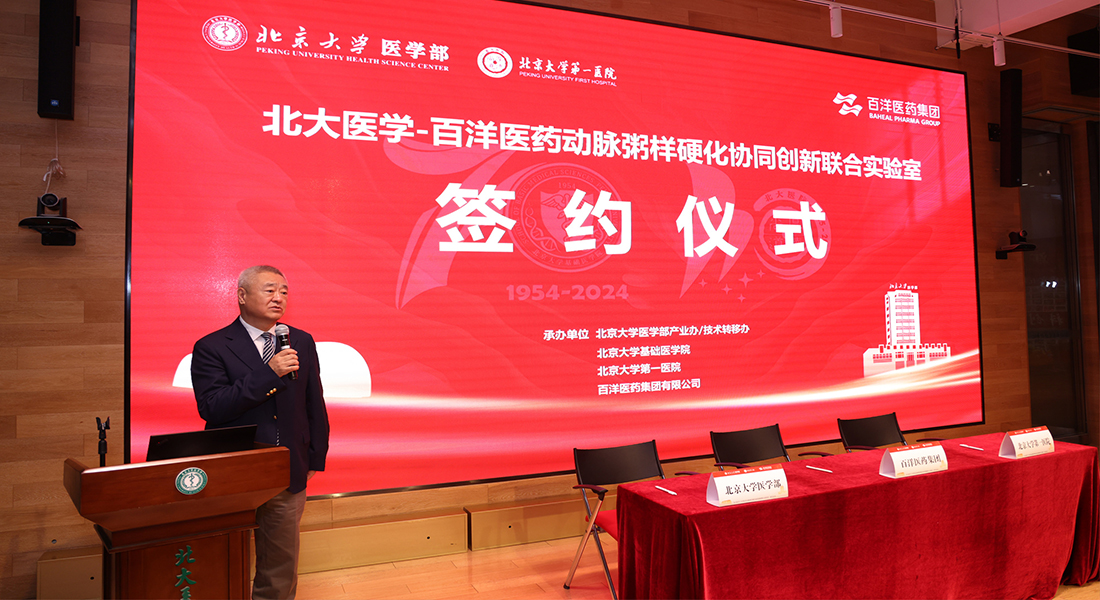秋霞鲁丝片Av无码少妇