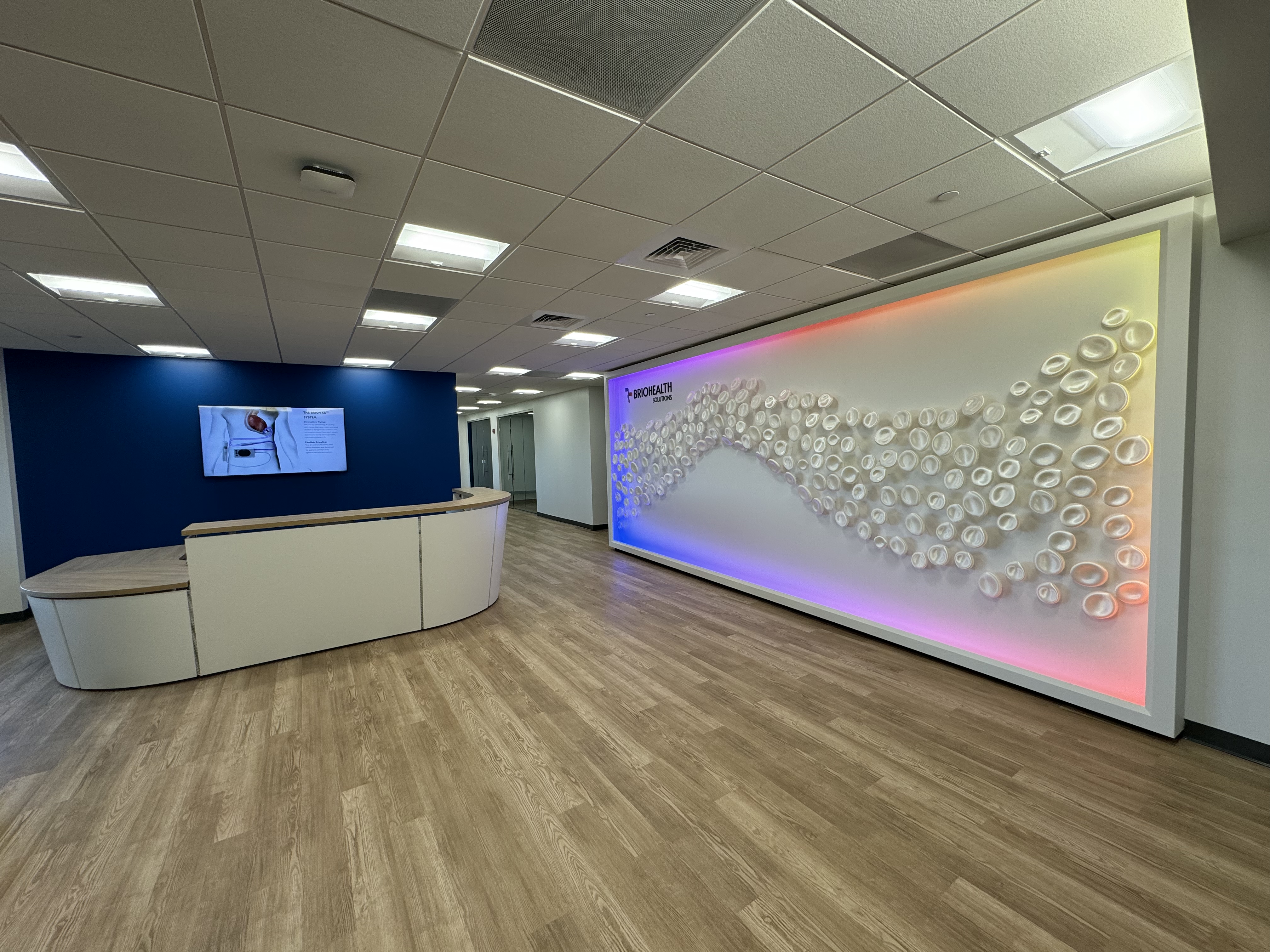 秋霞鲁丝片Av无码少妇