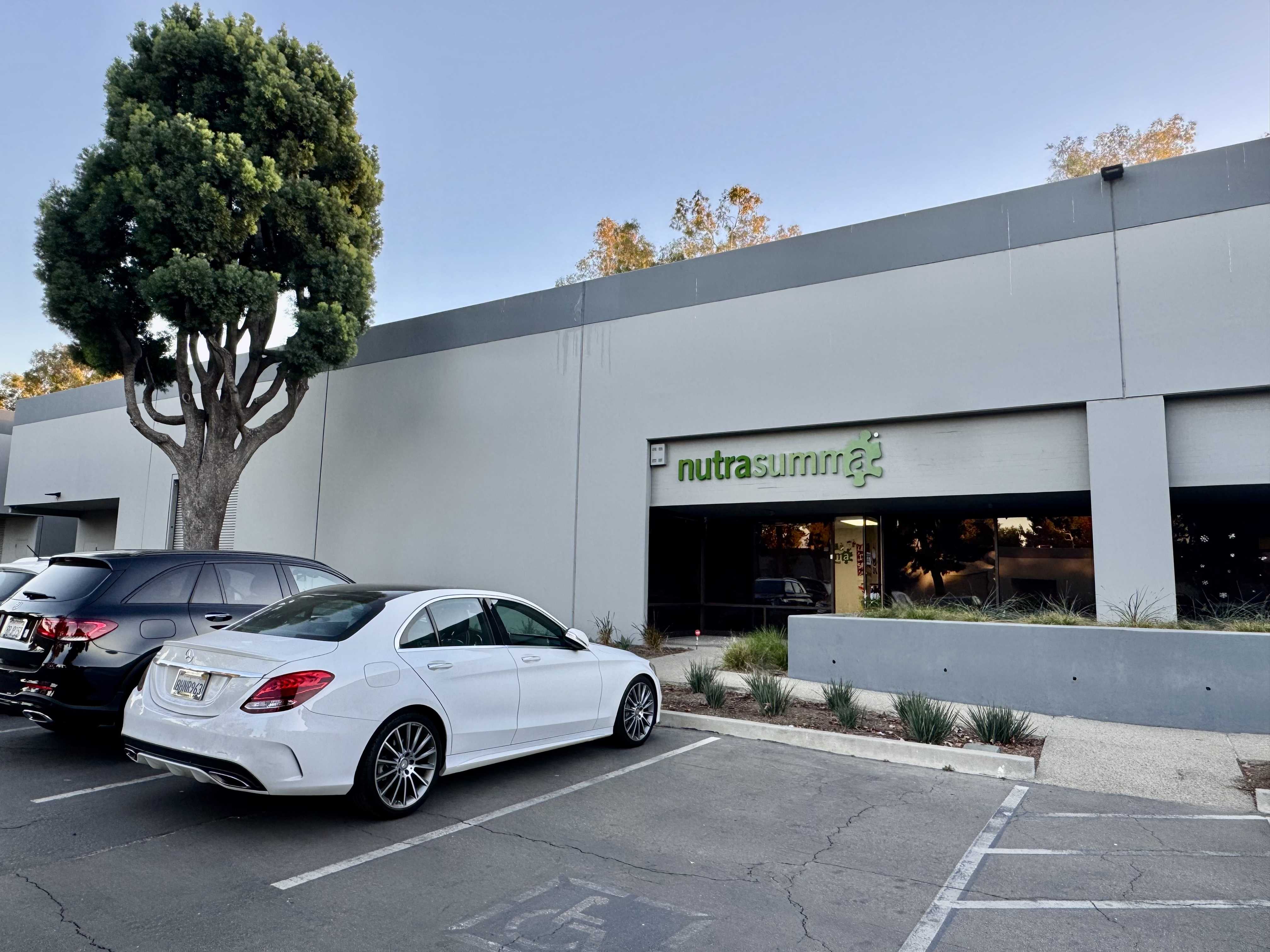 秋霞鲁丝片Av无码少妇