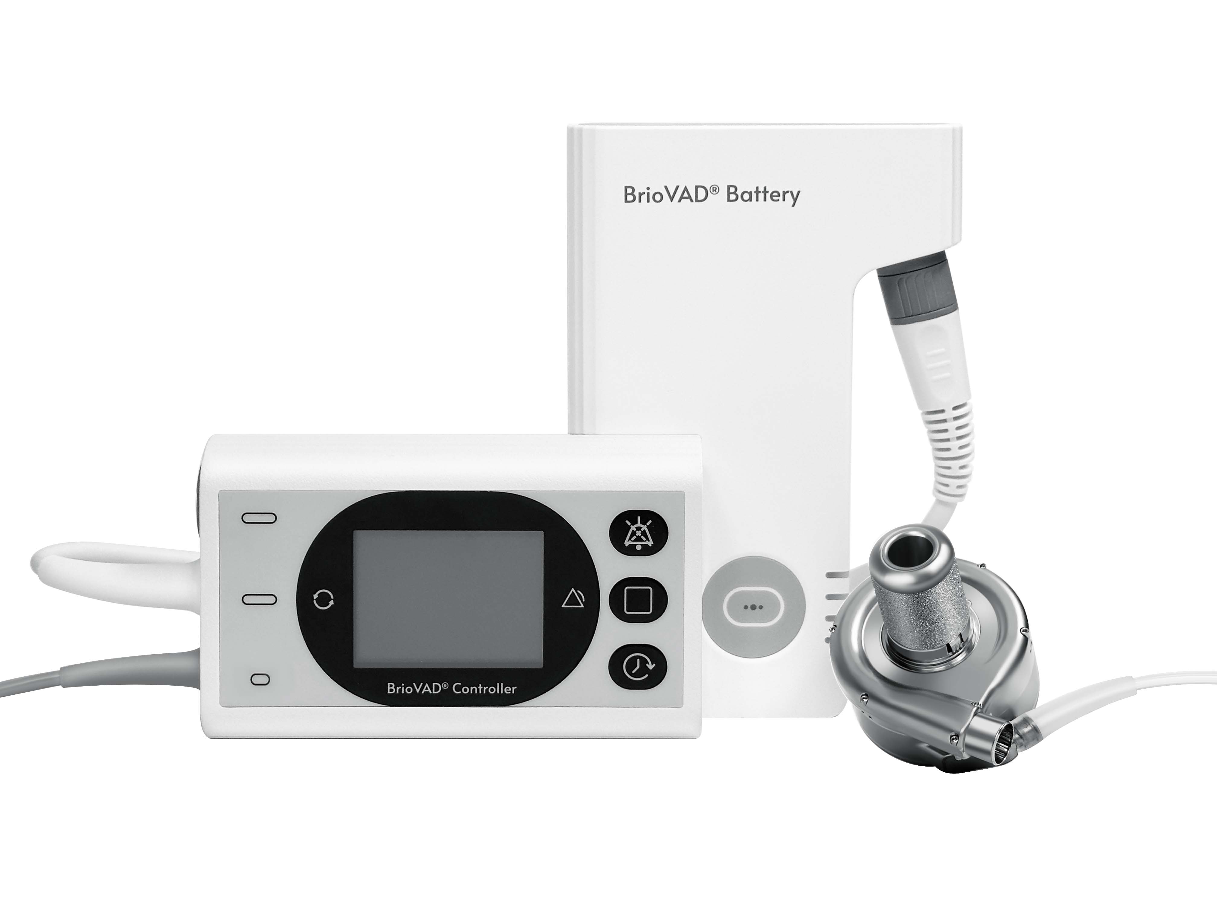 秋霞鲁丝片Av无码少妇