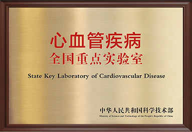 秋霞鲁丝片Av无码少妇