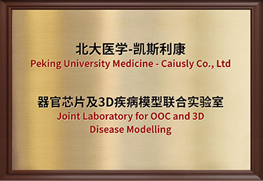 秋霞鲁丝片Av无码少妇