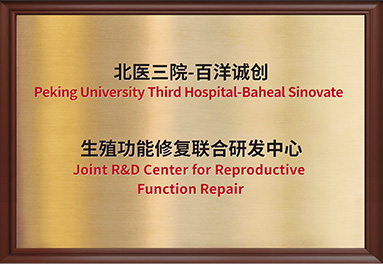 秋霞鲁丝片Av无码少妇