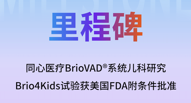 秋霞鲁丝片Av无码少妇