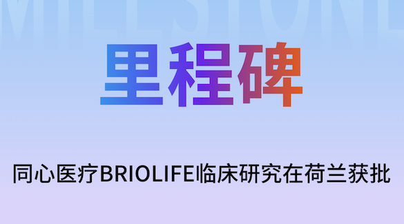 秋霞鲁丝片Av无码少妇