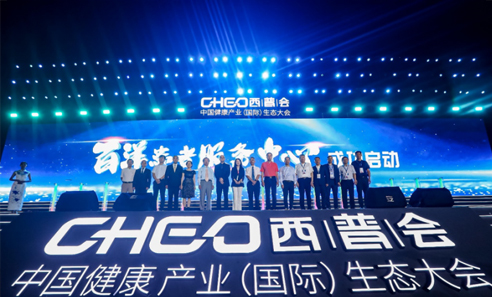 秋霞鲁丝片Av无码少妇