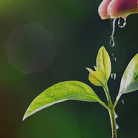 秋霞鲁丝片Av无码少妇