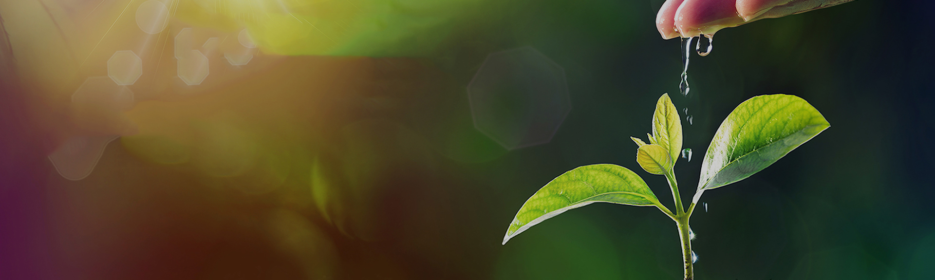 秋霞鲁丝片Av无码少妇