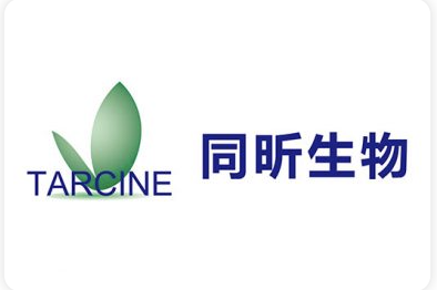 秋霞鲁丝片Av无码少妇